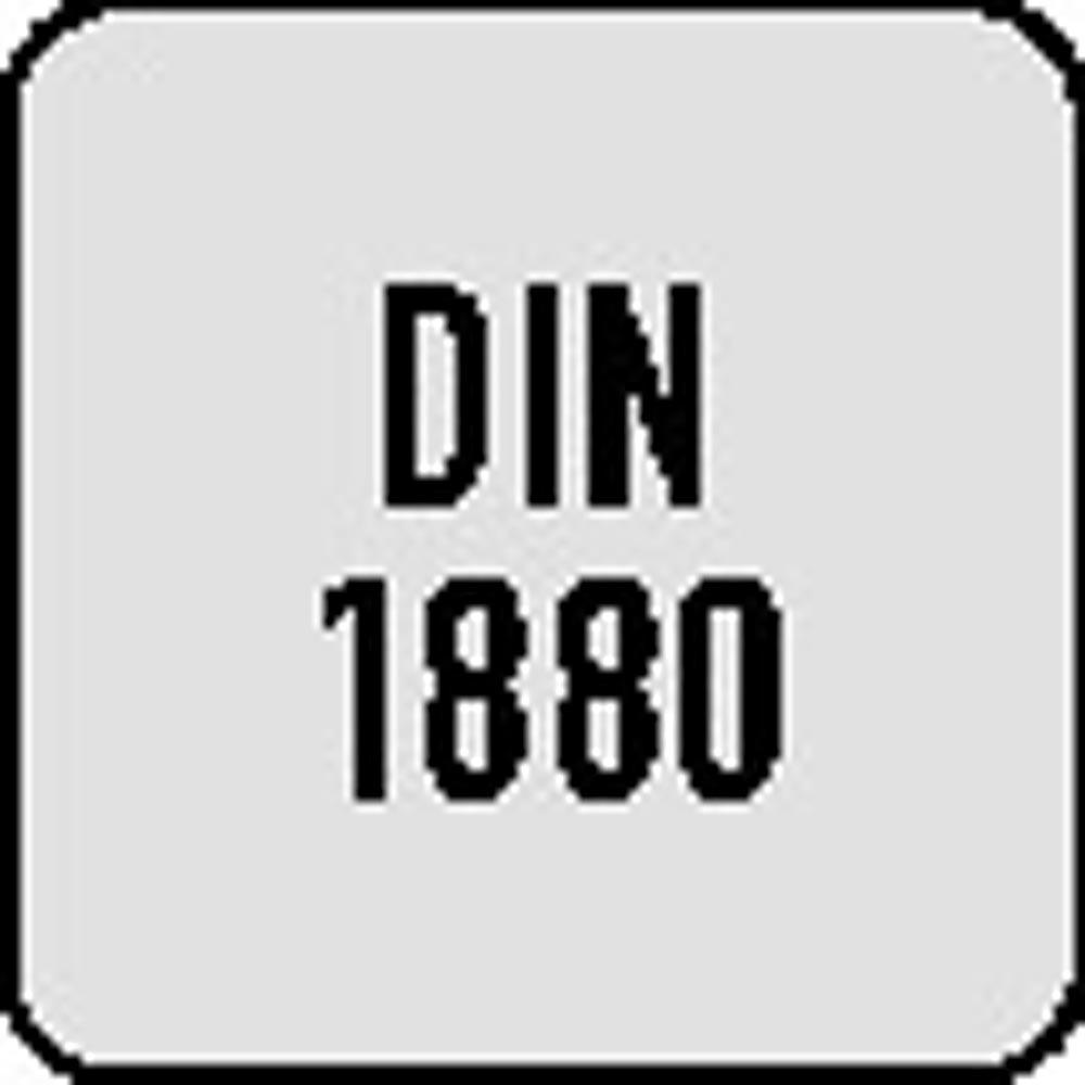 Walzenstirnfräser DIN 1880 Typ N Nenn-Ø 80 mm HSS-Co5 TiCN Schneidenanzahl 10