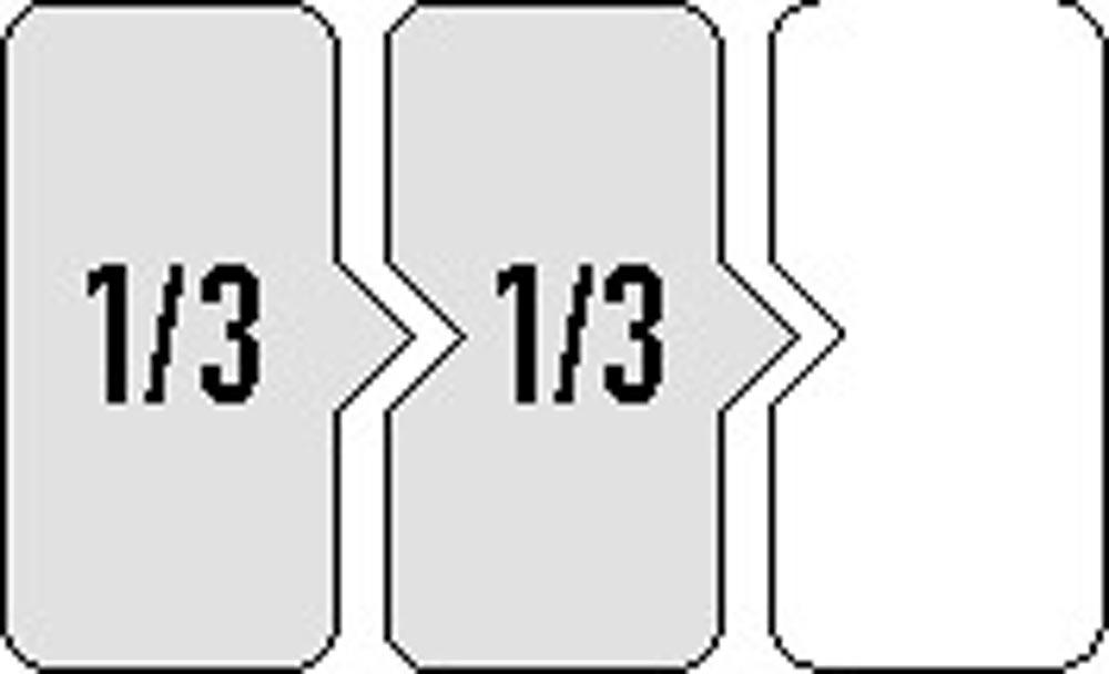 Werkzeugmodul 55-teilig 2/3-Modul Steckschlüssel