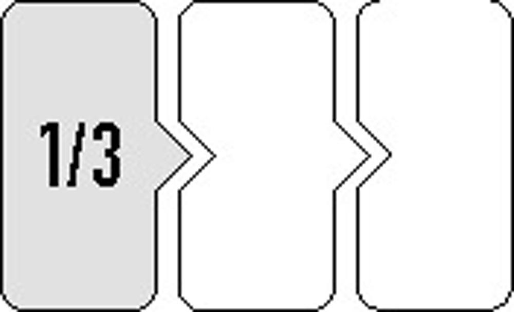 Werkzeugmodul 7-teilig 1/3-Modul Schlitz / PH