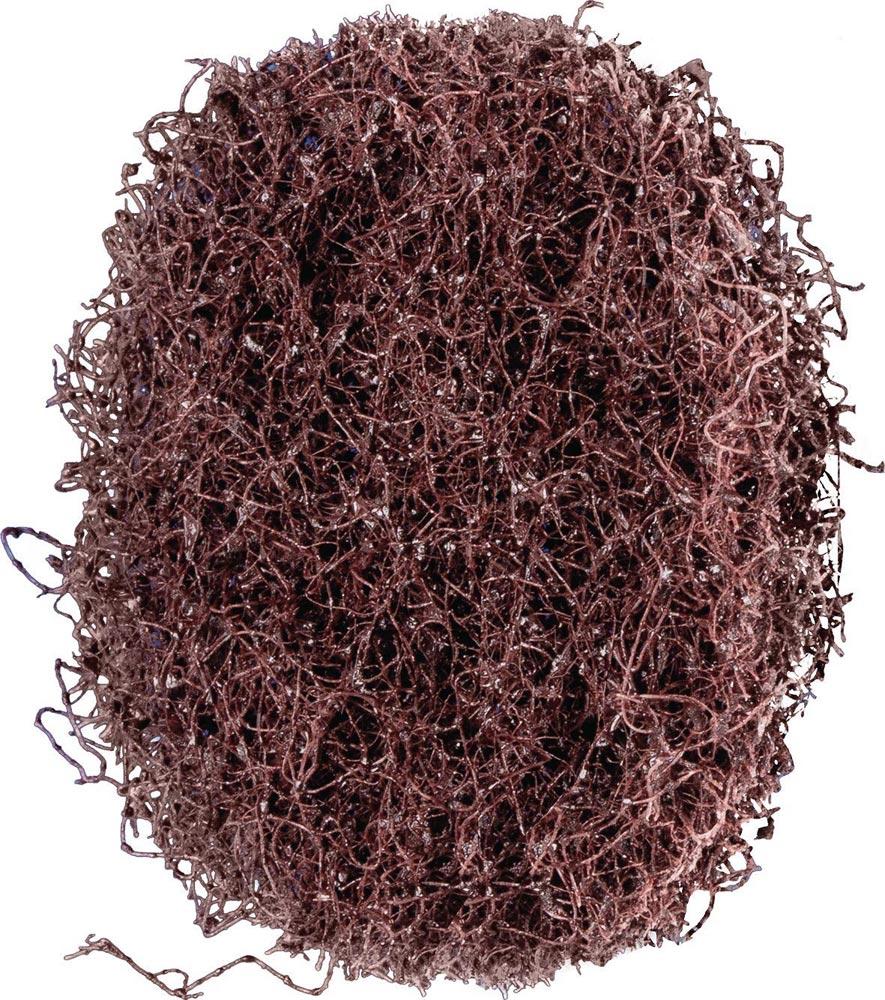 Schleifvliesscheibe POLINOX Ø 40 mm medium 100 braun