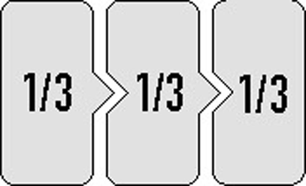 Werkzeugmodul 12-teilig 3/3-Modul