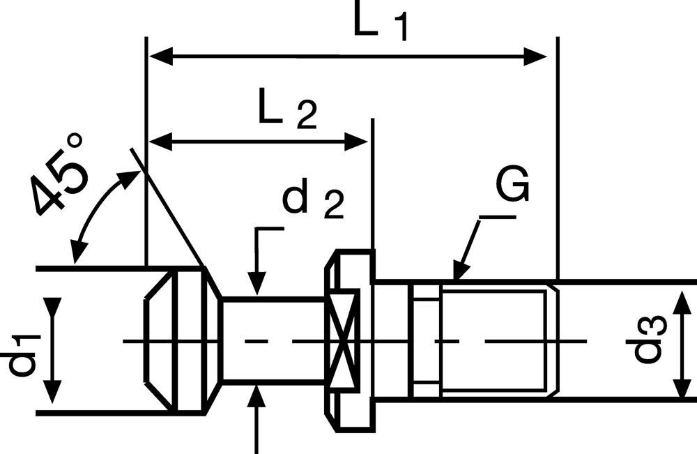 Anzugsbolzen JIS B 6339 BT40 mit Bohrung 45 Grad